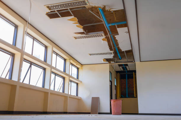 Best Water damage contractors near me  in Point Clear, AL
