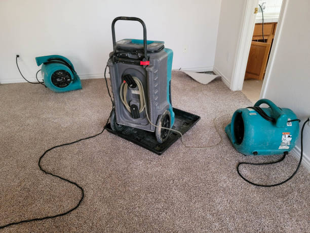 Best Carpet water damage restoration  in Point Clear, AL