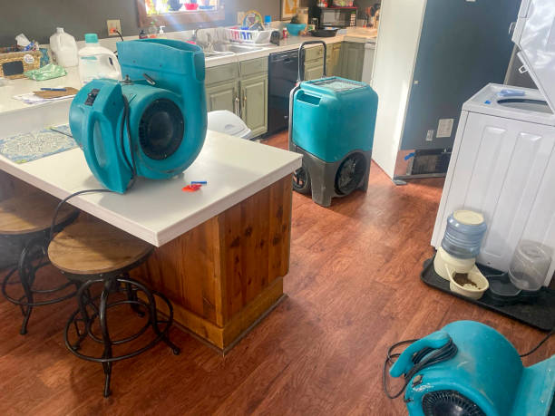 Best Mold removal after water damage  in Point Clear, AL