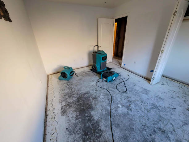 Best Flooded house restoration  in Point Clear, AL