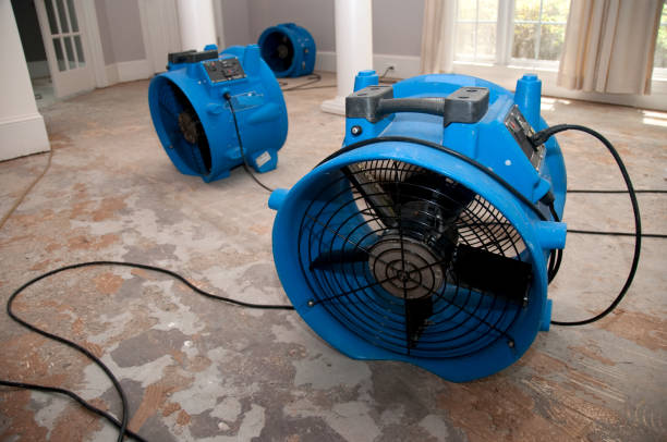 Best Flood damage cleanup  in Point Clear, AL