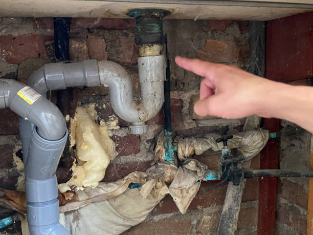 Best Flood restoration services  in Point Clear, AL