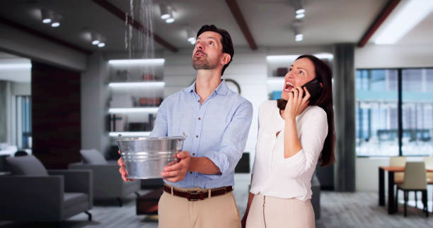 Best Water damage restoration near me  in Point Clear, AL