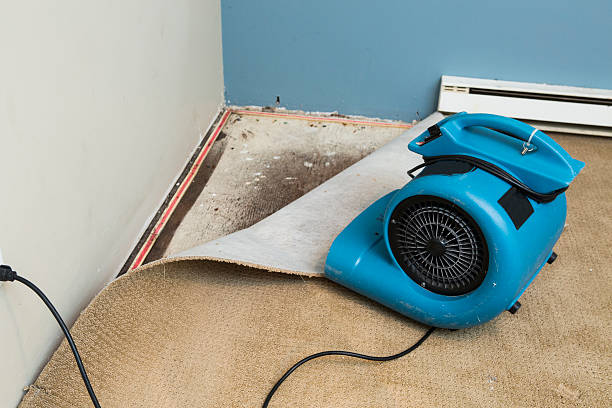 Best Local water damage restoration  in Point Clear, AL